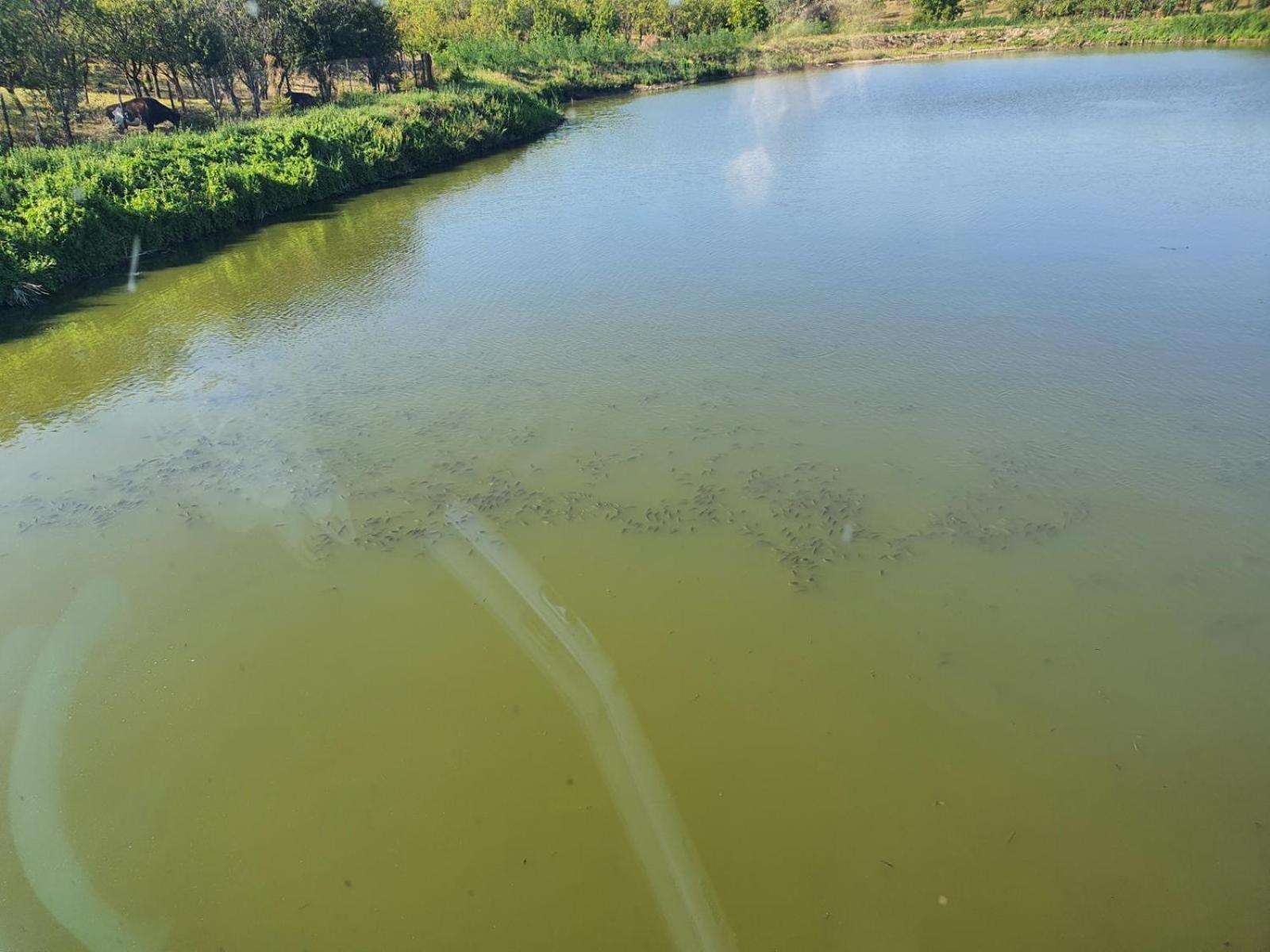 فندق Mountain Lake Jbs Focşani المظهر الخارجي الصورة